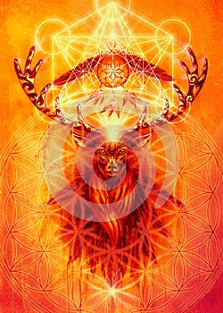 Sacred ornamental deer spirit with dream catcher symbol and feathers and merkaba and flower of life.