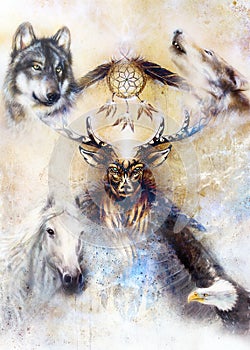 Sacred ornamental deer spirit with dream catcher symbol and feathers and wolf, horse, eagle in cosmic space.