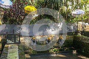 A sacred place in the Hindu temple of Batukaru. Stone statues spewing sacred water, designed to wash the faithful Hindus. Walls