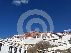 The Sacred Potala Palace, a Pure Land for Ten Thousand Pilgrims