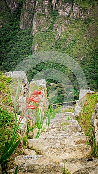 Sacred Rock an important piece of Inca culture of Machu Picchu Peru