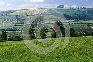 A sacred site along the English countryside in Glastonbury, England