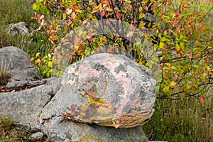 Sacred stones in the area of the village of Krasnogorye in Russia