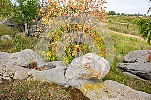 Sacred stones in the area of the village of Krasnogorye in Russia