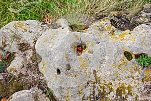 Sacred stones in the area of the village of Krasnogorye in Russia