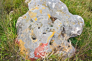 Sacred stones in the area of the village of Krasnogorye in Russia