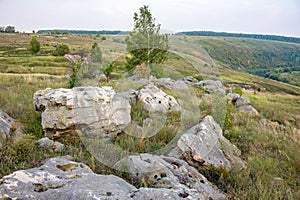 Sacred stones in the area of the village of Krasnogorye in Russia