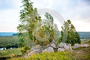 Sacred stones in the area of the village of Krasnogorye in Russia