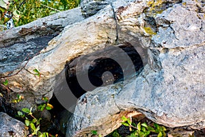 Sacred stones in the area of the village of Krasnogorye in Russia