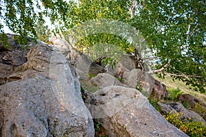 Sacred stones in the area of the village of Krasnogorye in Russia