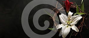 Sacred Symbols: A Crown of Thorns, Easter Lily, and Copy Space on Black Background