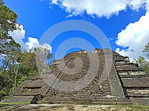 Sacred Symmetry: The Harmonious Blend of Temple and Trees in Tikal, Peten, Guatemala