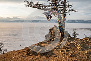 A sacred tree with multicolored ribbons on the shore of lake Baikal. Views of snow-covered ice of the lake and mountains