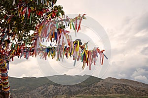 The sacred wishing tree of desires and dreams photo