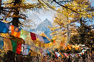 Sacred Xiannairi mountain with colorful prayer flags blowing in autumn forest