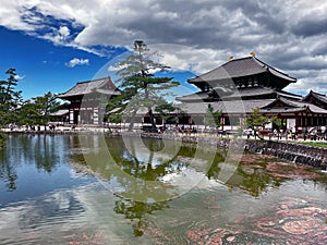 Sacred Zen: Nara Temple Shrine and Peaceful Japanese Garden, Kyoto, Japan