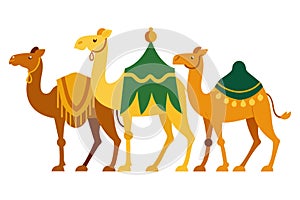 Sacrificial Camel animals for Eid-ul-Azha vector illustration on white background