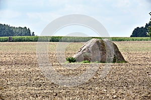 Sacrificial stone near Pustow in Mecklenburg-Vorpommern, Germany