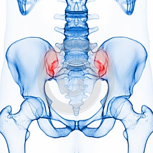 The sacrum