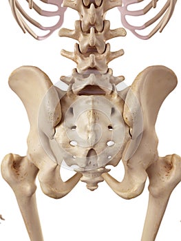 The sacrum