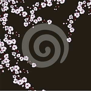 Sacura flower pattern