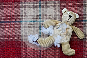 Sad Abandoned Teddy Bear