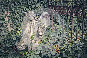 Sad angel, a statue near the church in Kutna Hora. Sedlec Ossuary Czech: Kostnice in Sedci