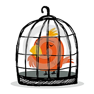 Sad bird in cage