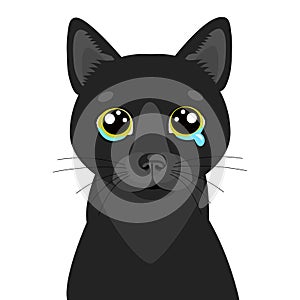 Sad Black Cat Vector Icon. Illustration Of Cute Sad Animal. Drear Crying Black Cat Vector.