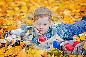 A sad boy lies on a blanket with an Apple in his hands in an autumn Park. There are a lot of yellow maple leaves around. Picnic in