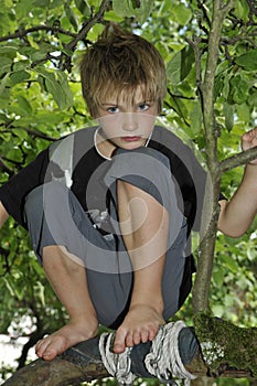 Sad Boy Playing on a Tree