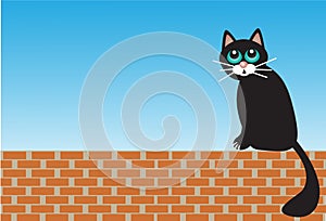 Sad cat sitting on bricks