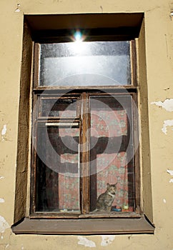 The sad cat at the window of old scary house at Dostoevsky street