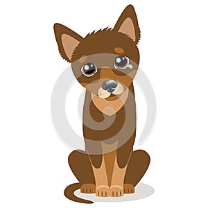 Sad Crying Dog Cartoon Vector Illustration. Dog With Tears. Crying Dog Face.