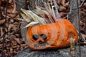 Sad discarded Halloween pumpkin