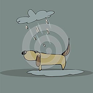 Sad dog in the rain. Hand drawn color vector