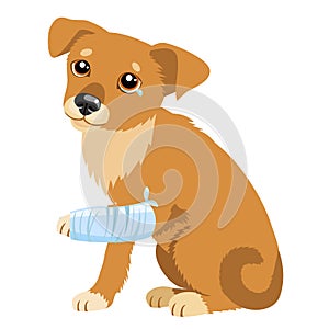 Sad Dog Story. Vector Illustration Of Cute Sad Dog Or Puppy. Sick Dog With Splinting Leg. Veterinary Theme.