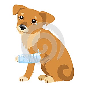 Sad Dog Story. Vector Illustration Of Cute Sad Dog Or Puppy. Sick Dog With Splinting Leg. Veterinary Theme. photo