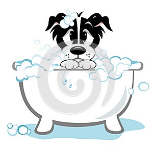 Sad Dog Taking Bath