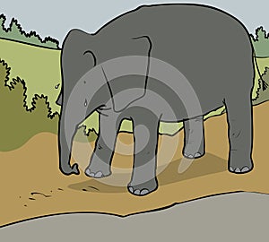 Sad elephant