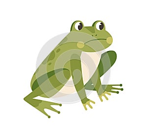 Sad frog sitting with unhappy face. Funny thoughtful froglet. Upset green toad. Childish colored flat vector