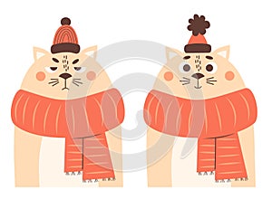 Sad and happy winter cat character in knitted scarf and hat. Vector illustration. New Year and Christmas design, holiday card,