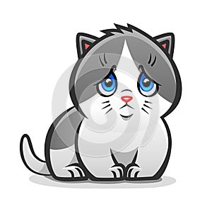 Sad kitten