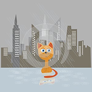 Sad kitten on a rain vector illustration.