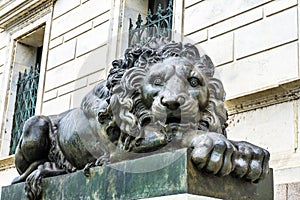 Sad Lion Closed Cochran Gallery of Art Washington DC