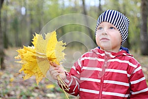 Sad little boy holds maple leaflets looks up.