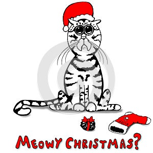 Sad Little Kitty was Naughty - So Santa Brought a Lump of Coal