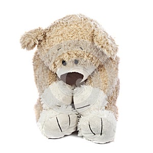 Sad and Lonely Teddy Bear
