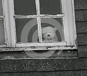 Sad lonely teddy at window