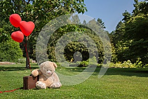 Sad and lonesome teddy bear with red hearts balloons. Concept for missing you or forgive me.